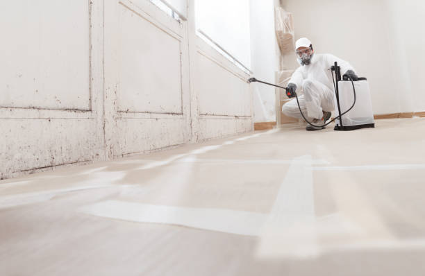 24/7 Emergency Mold Remediation experts in Bristow, VA