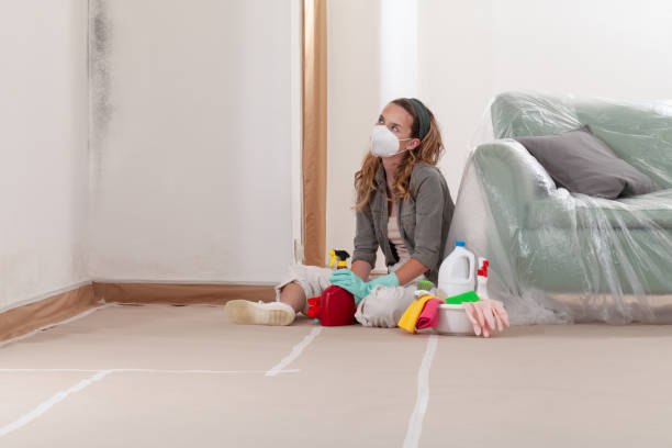 Reliable Mold Remediation contractor in Bristow, VA by Cheap Mold Removal
