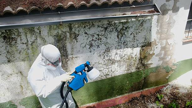 Trusted Mold Remediation service in Bristow, VA - Cheap Mold Removal